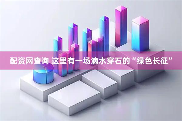 配资网查询 这里有一场滴水穿石的“绿色长征”