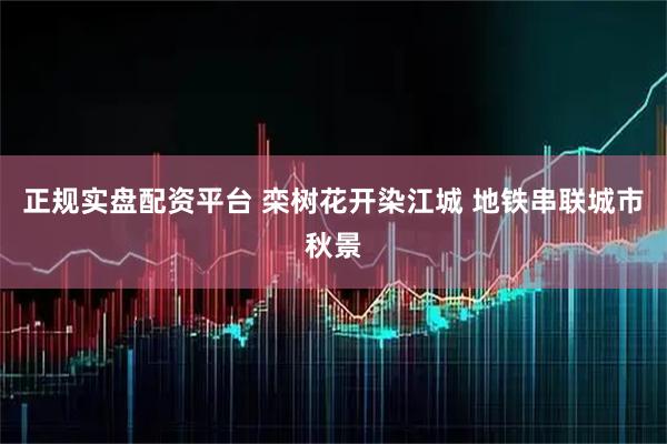 正规实盘配资平台 栾树花开染江城 地铁串联城市秋景